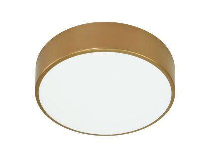 Stropní svítidlo AD-PL-6290CLSM4