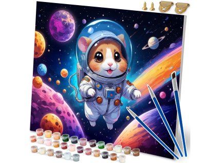 Obraz na malování podle čísel 40x50 cm Massido Astronaut